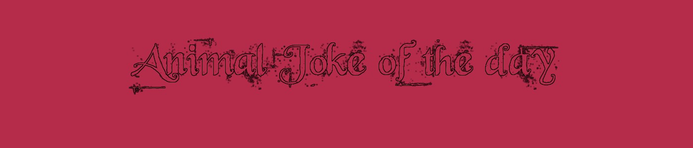 Animal Joke of the day 