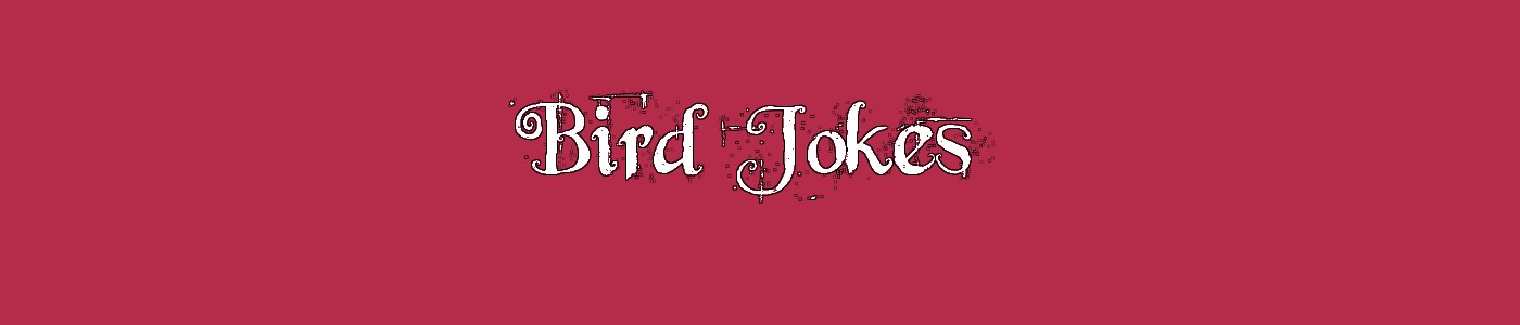 Bird Jokes