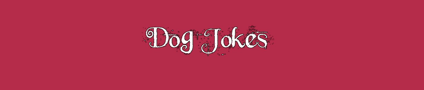 Dog Jokes