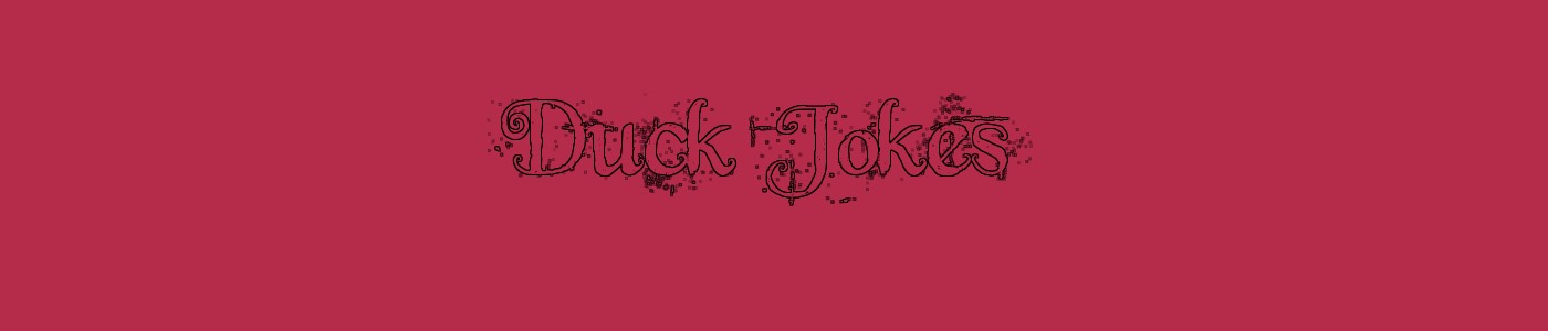 Duck Jokes