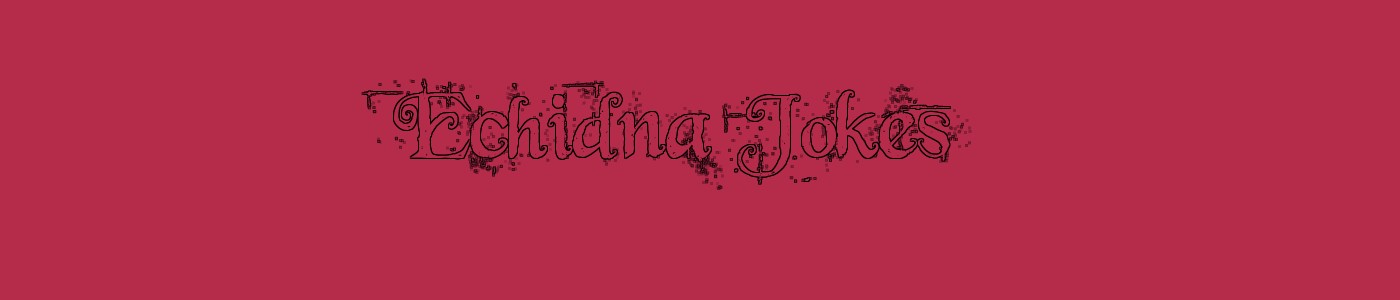Echidna Jokes