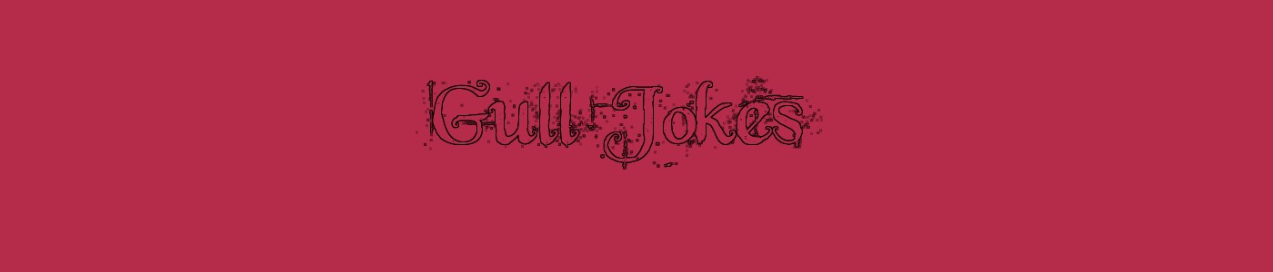 Gull Jokes