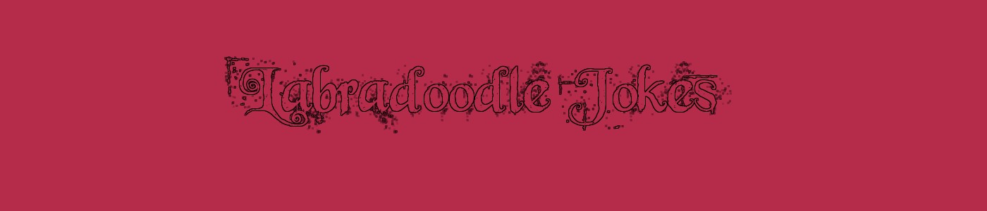 Labradoodle Jokes